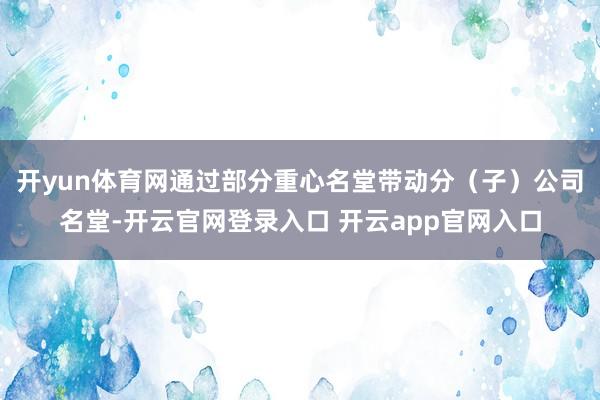 开yun体育网通过部分重心名堂带动分（子）公司名堂-开云官网登录入口 开云app官网入口
