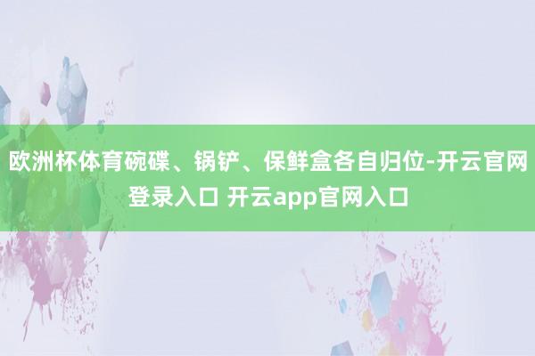 欧洲杯体育碗碟、锅铲、保鲜盒各自归位-开云官网登录入口 开云app官网入口