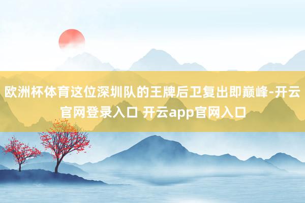 欧洲杯体育这位深圳队的王牌后卫复出即巅峰-开云官网登录入口 开云app官网入口