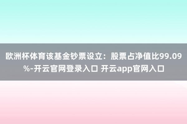 欧洲杯体育该基金钞票设立：股票占净值比99.09%-开云官网登录入口 开云app官网入口