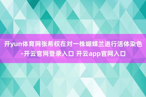 开yun体育网　　张希权在对一株蝴蝶兰进行活体染色-开云官网登录入口 开云app官网入口