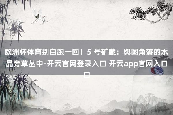 欧洲杯体育别白跑一回！5 号矿藏：舆图角落的水晶旁草丛中-开云官网登录入口 开云app官网入口