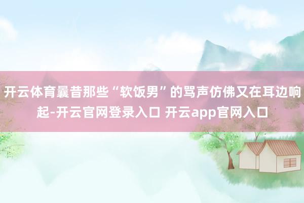 开云体育曩昔那些“软饭男”的骂声仿佛又在耳边响起-开云官网登录入口 开云app官网入口