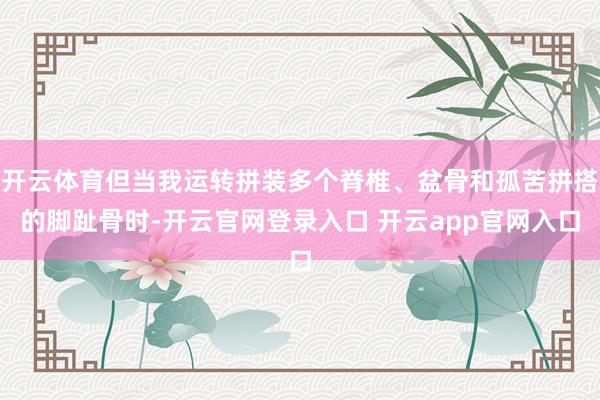 开云体育但当我运转拼装多个脊椎、盆骨和孤苦拼搭的脚趾骨时-开云官网登录入口 开云app官网入口
